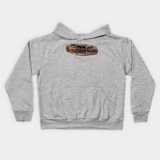 Alligator Resting on a log Kids Hoodie